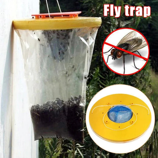 The Environmental Impact of Fly Infestations How Our EcoFriendly Fly