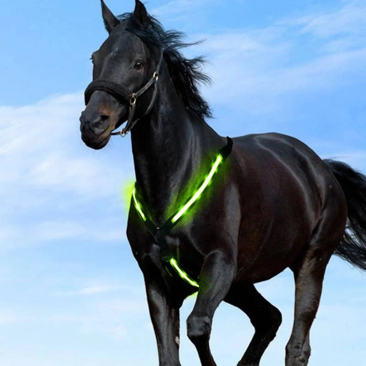 LED Horse Breastplate Collar for Nighttime Safety HorseCares® USA, UK