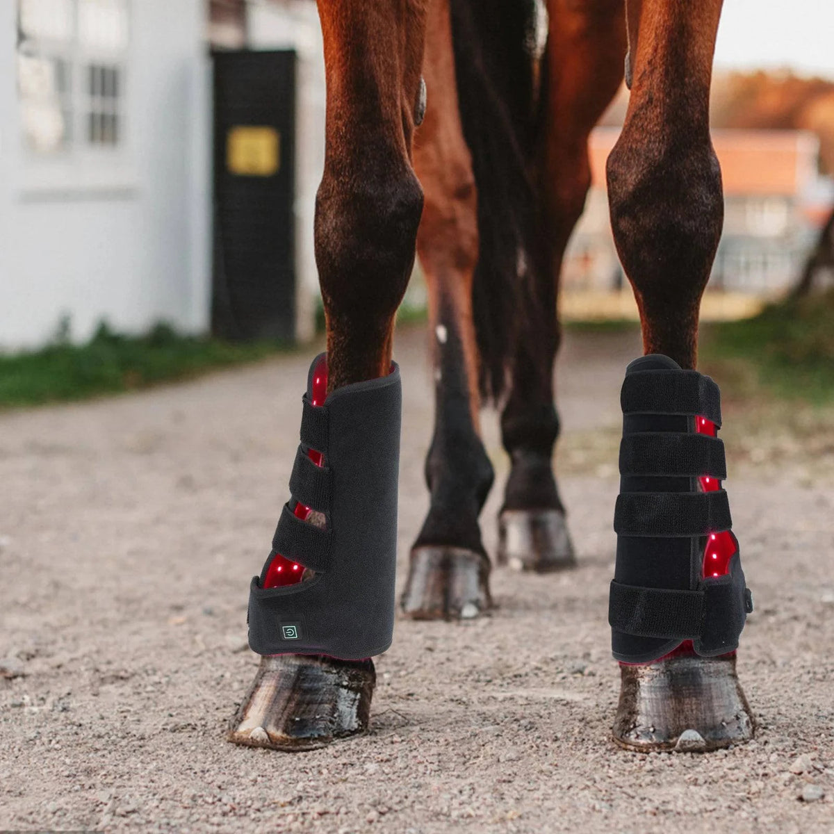 Horse Riding Infrared Stable Boots Equine Red Light Therapy Boots