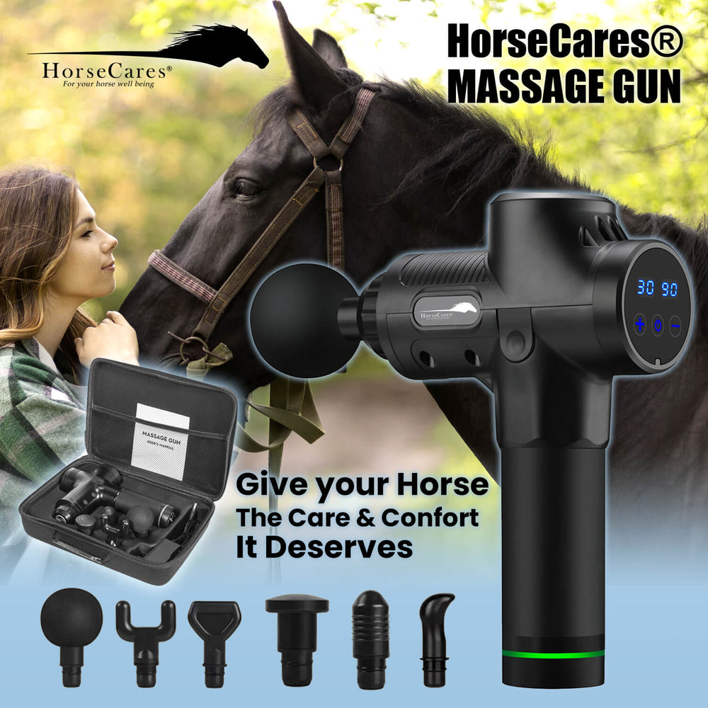 Best Equine Massage Gun: Soothe Your Horse's Muscles