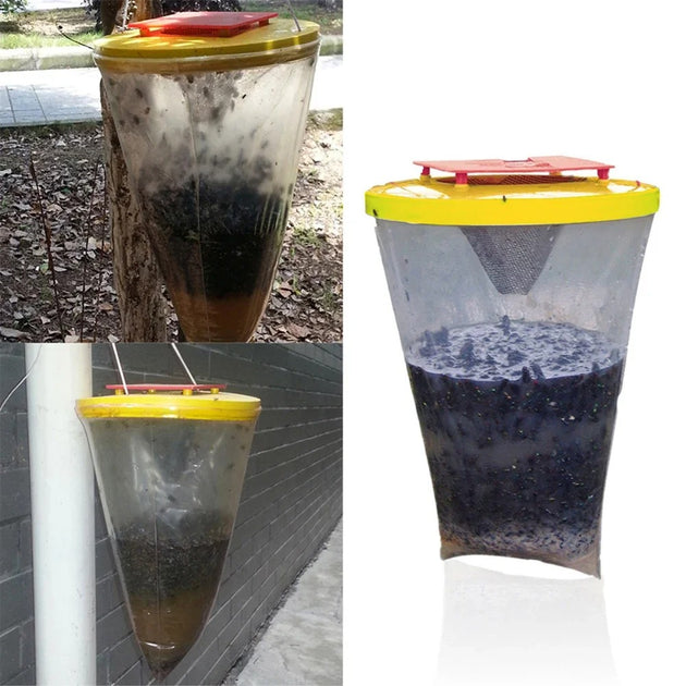 Friendly Fly The Environmental Impact of Fly Infestations: How Our Eco-Friendly Fly