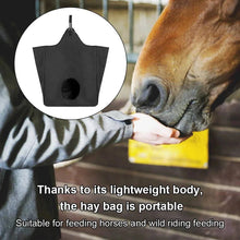 Load image into Gallery viewer, Portable Slow Feed Hay Bag for Outdoor Horse Feeding - HorseCares® USA, UK
