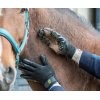 Load image into Gallery viewer, Hands On Grooming Gloves Black (Adult) - HorseCares® USA, UK
